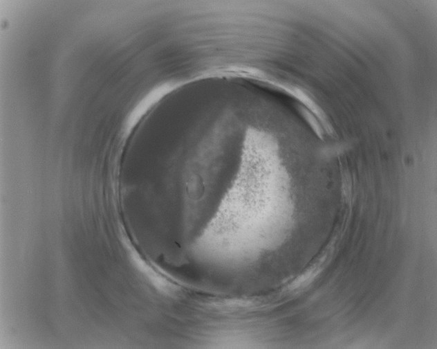 X0000065261054200602242110