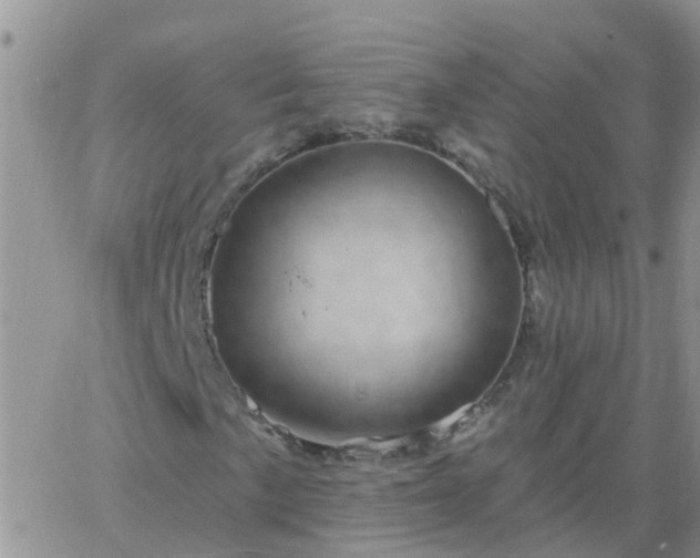 X0000065261057200602242109