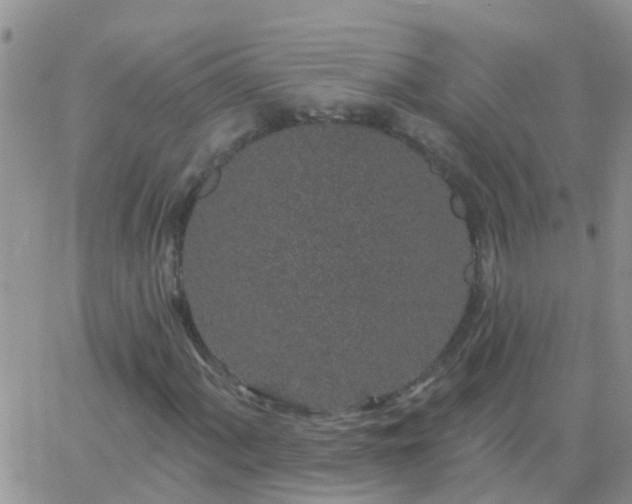 X0000065261060200602242109