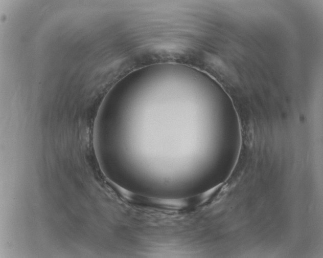 X0000065261061200602242109