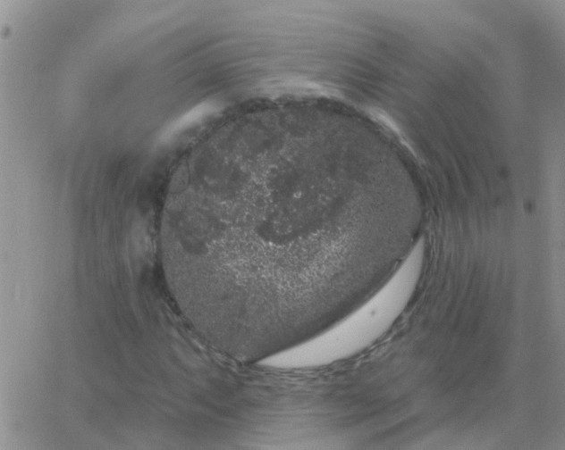 X0000065261063200602242109