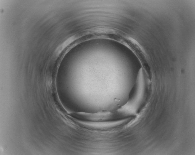 X0000065261065200602242109