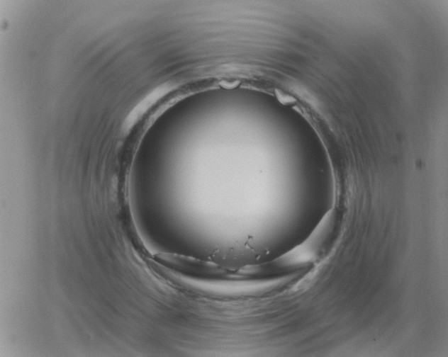 X0000065261066200602242109