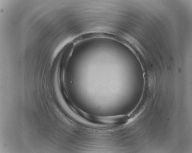 X0000065261069200602242109