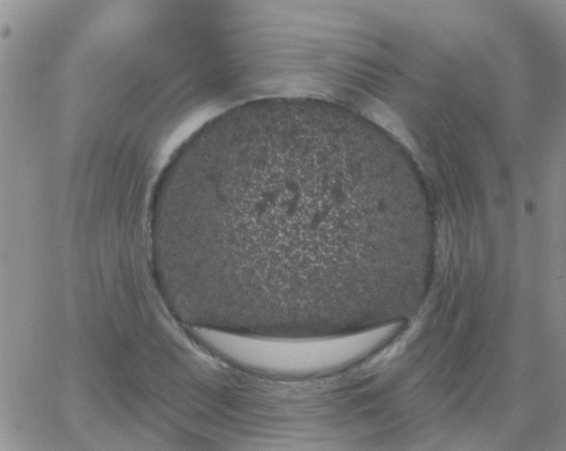 X0000065261071200602242109