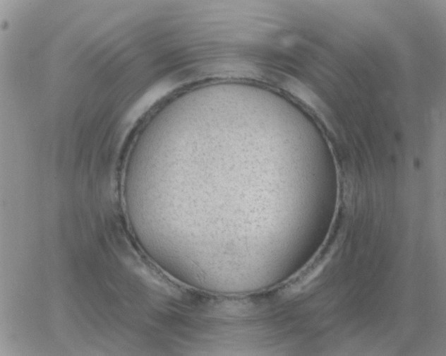 X0000065261074200602242109