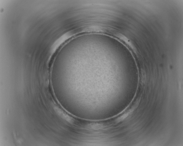 X0000065261075200602242109