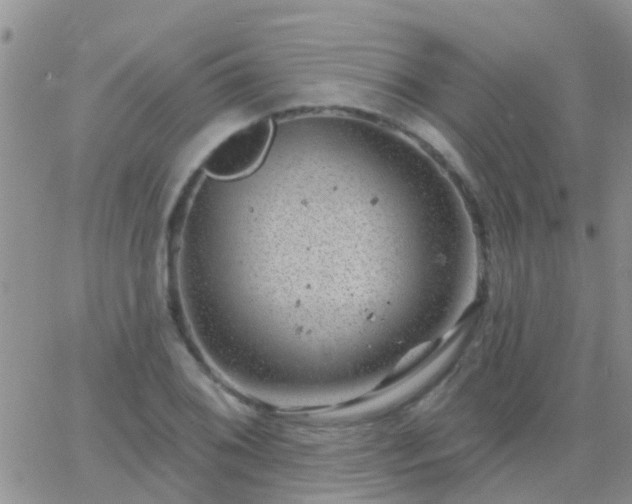 X0000065261076200602242109