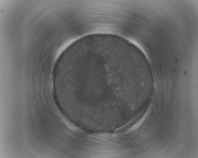 X0000065261077200602242109