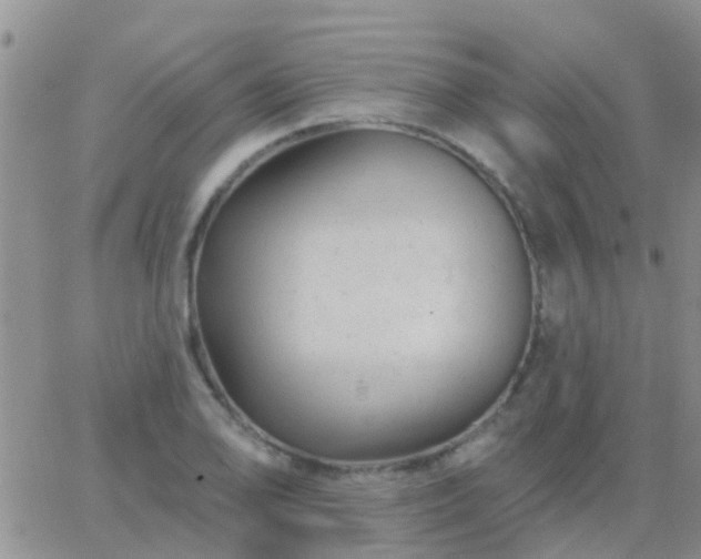 X0000065261078200602242109