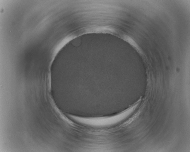 X0000065261079200602242109