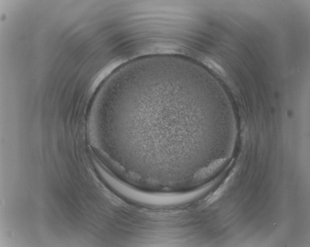 X0000065261081200602242109