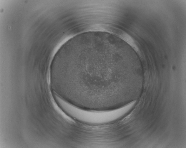 X0000065261084200602242109