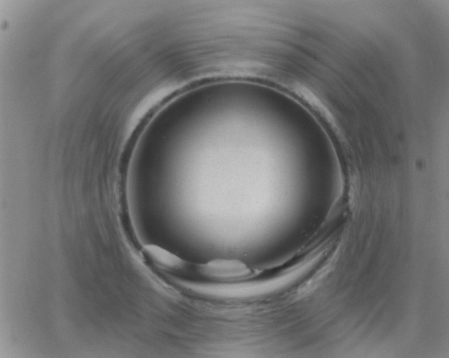 X0000065261085200602242109