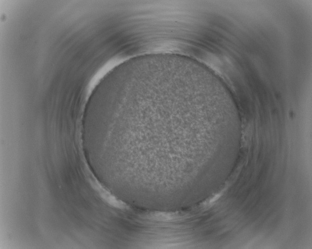 X0000065261086200602242109