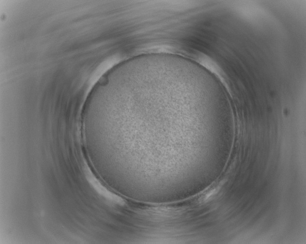 X0000065261090200602242109