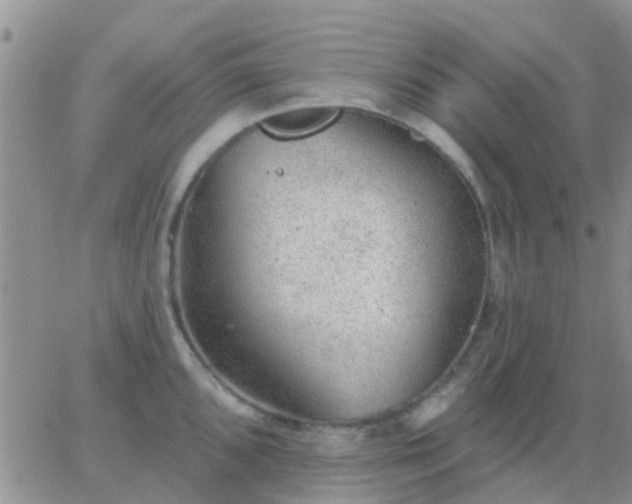 X0000065261096200602242108