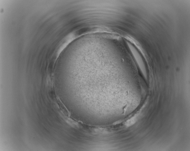 X0000065261097200602242108