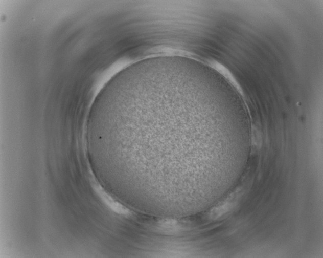 X0000065261098200602242108