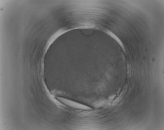 X0000065261099200602242108