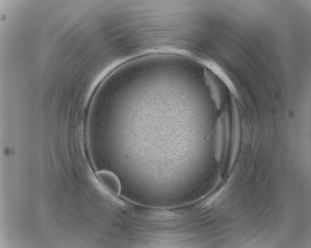 X0000065261100200602242108