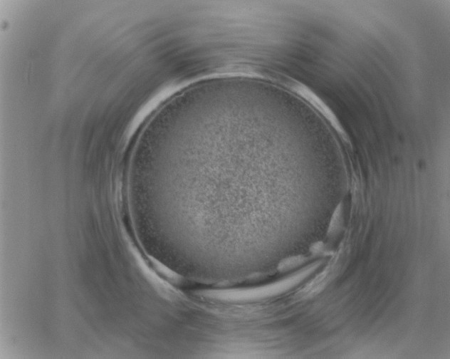 X0000065261101200602242108