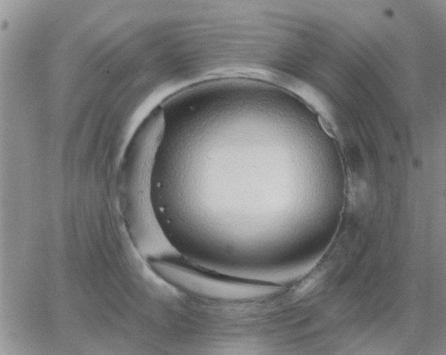 X0000065261102200602242108