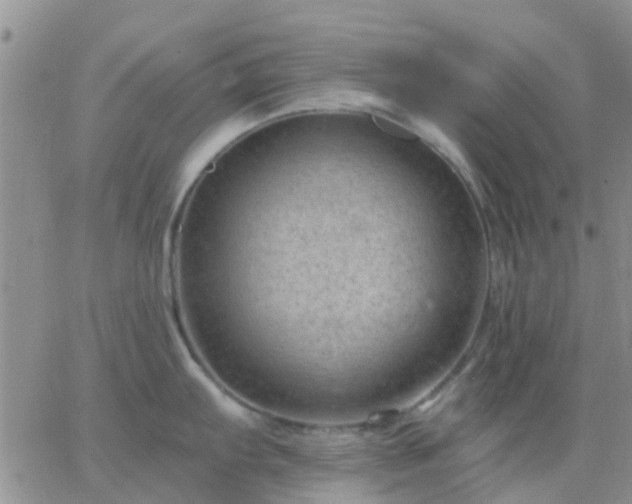 X0000065261103200602242108