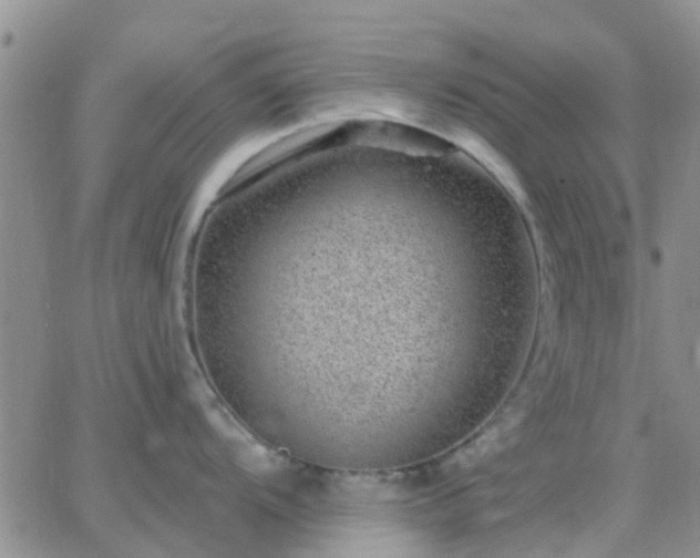 X0000065261104200602242108