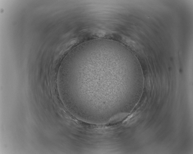 X0000065261105200602242108