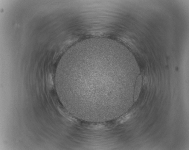 X0000065261106200602242108