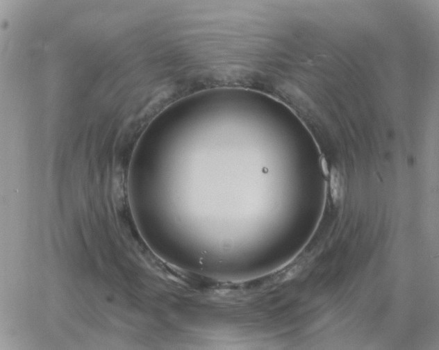 X0000065261107200602242108