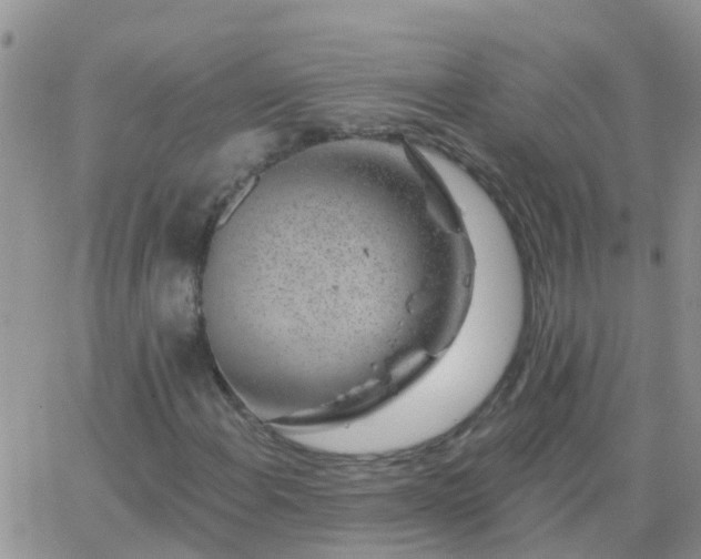 X0000065261108200602242108