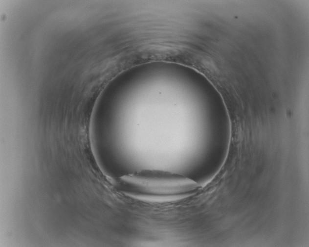 X0000065261109200602242108