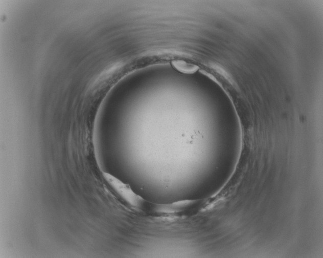 X0000065261111200602242108