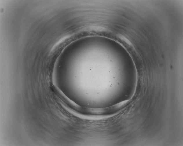 X0000065261112200602242108