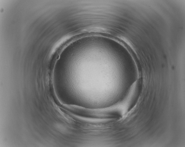 X0000065261115200602242108