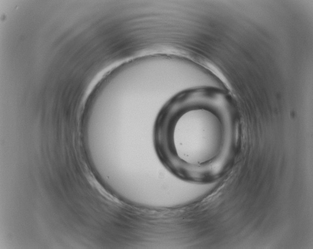 X0000065261116200602242108