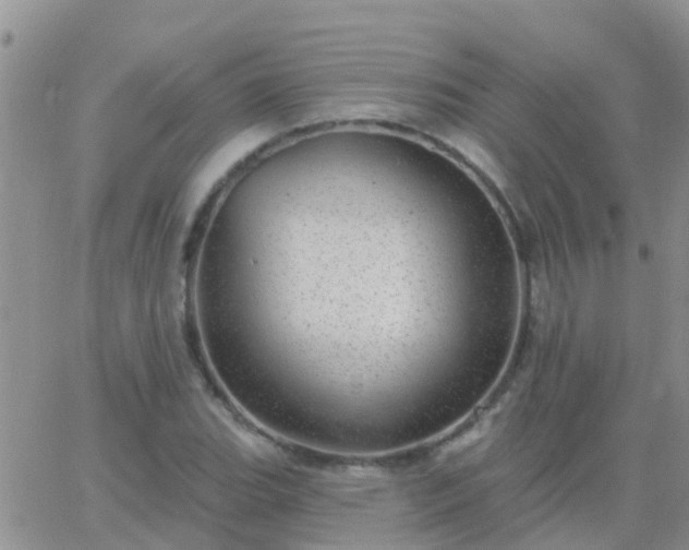 X0000065261119200602242108