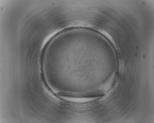 X0000065261120200602242108