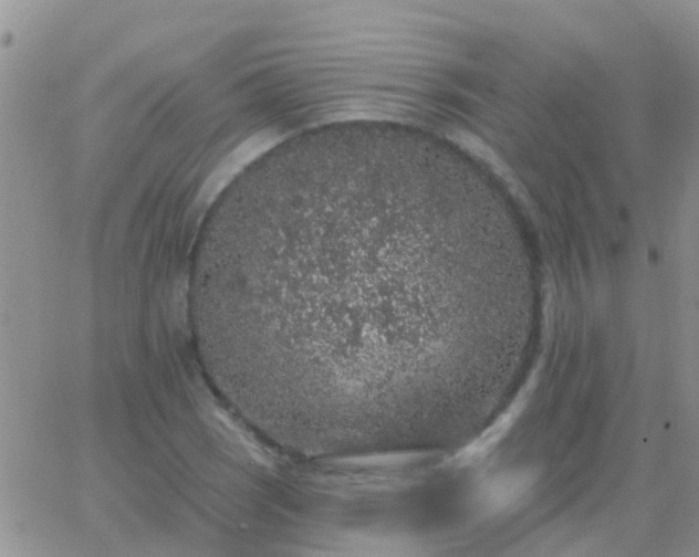 X0000065261121200602242108