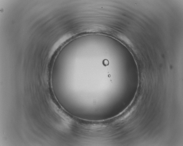 X0000065261122200602242108