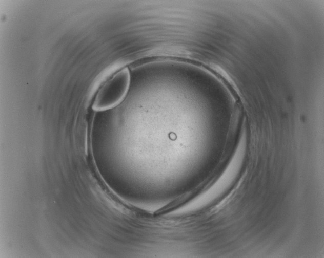 X0000065261123200602242108