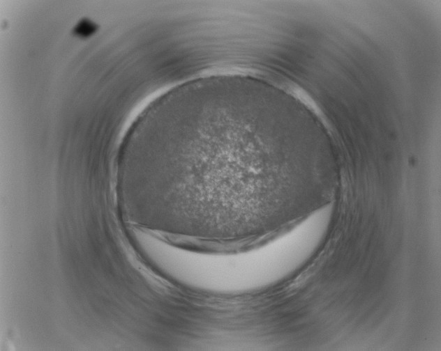 X0000065261124200602242108