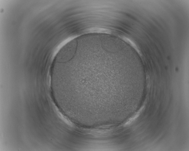 X0000065261125200602242108