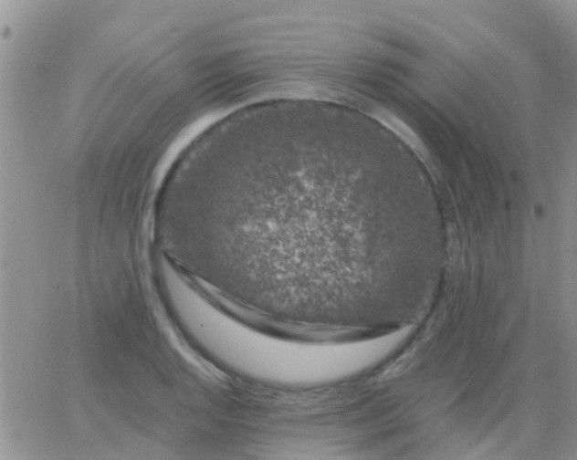 X0000065261128200602242108