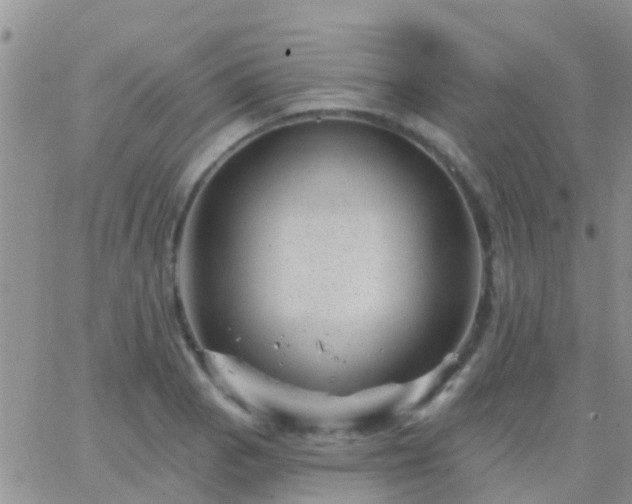 X0000065261129200602242108