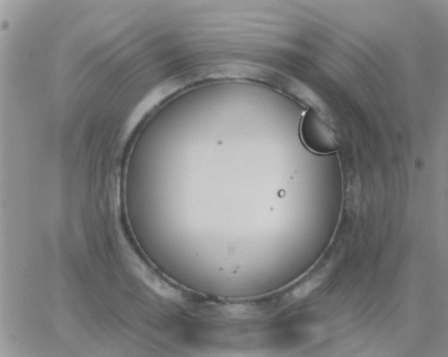 X0000065261130200602242108