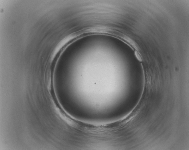 X0000065261131200602242108