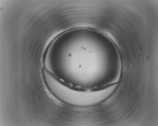 X0000065261132200602242108